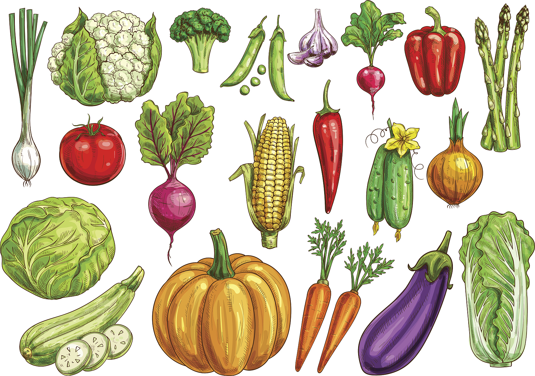 蔬菜孤立素描设置与新鲜蔬菜.jpg