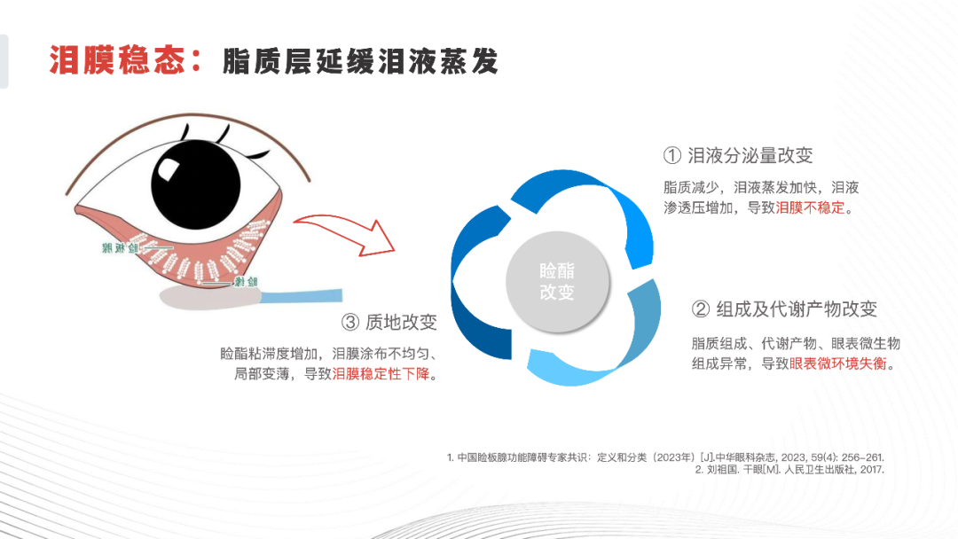 脂质层延缓泪液蒸发