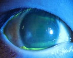 1748223177669533.jpg 1748223158504.jpg
